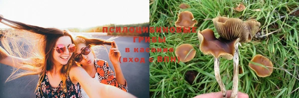 Альфа ПВП Беломорск