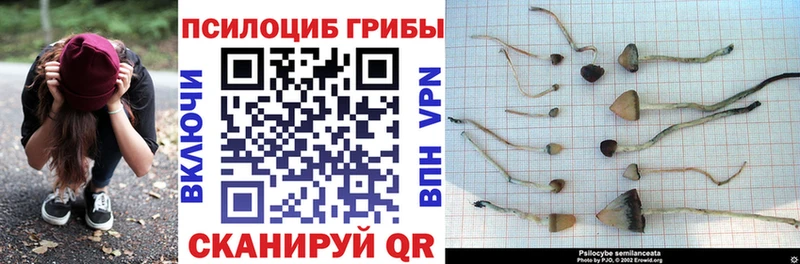 Псилоцибиновые грибы мицелий  купить наркотик  Окуловка 